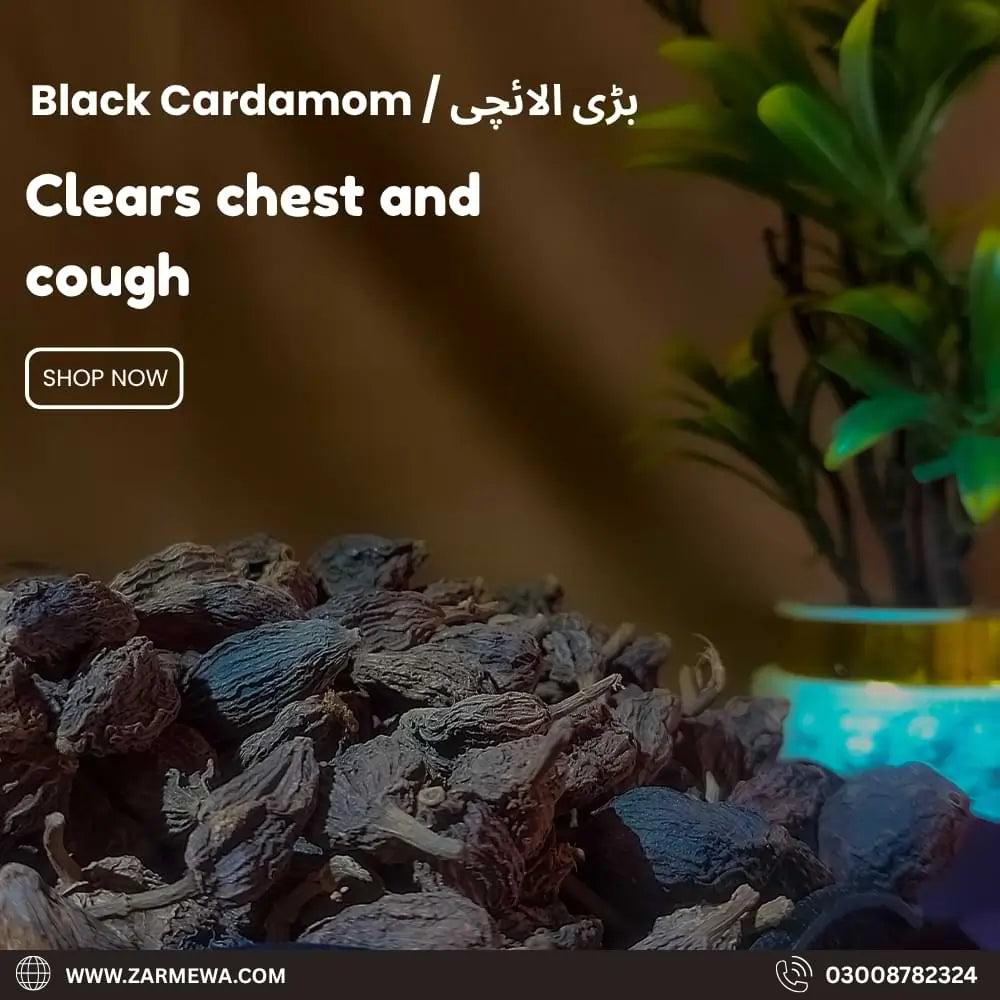 Black Cardamom(بڑی الائچی)